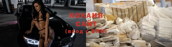 круглые Алзамай