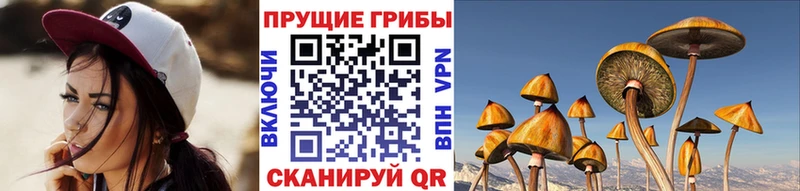 Галлюциногенные грибы GOLDEN TEACHER Феодосия