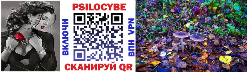 Псилоцибиновые грибы мицелий  где купить наркоту  кракен зеркало  Феодосия 